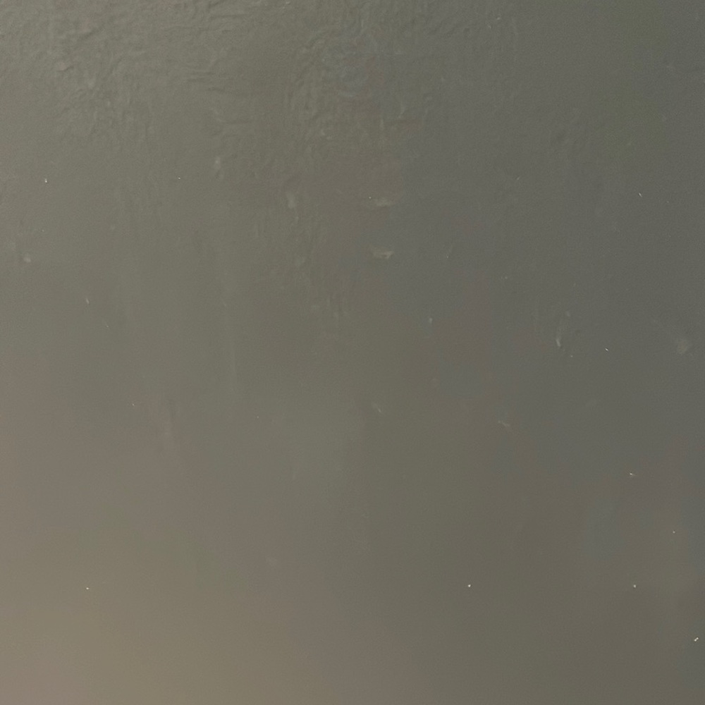 Meet your Posher, Misty